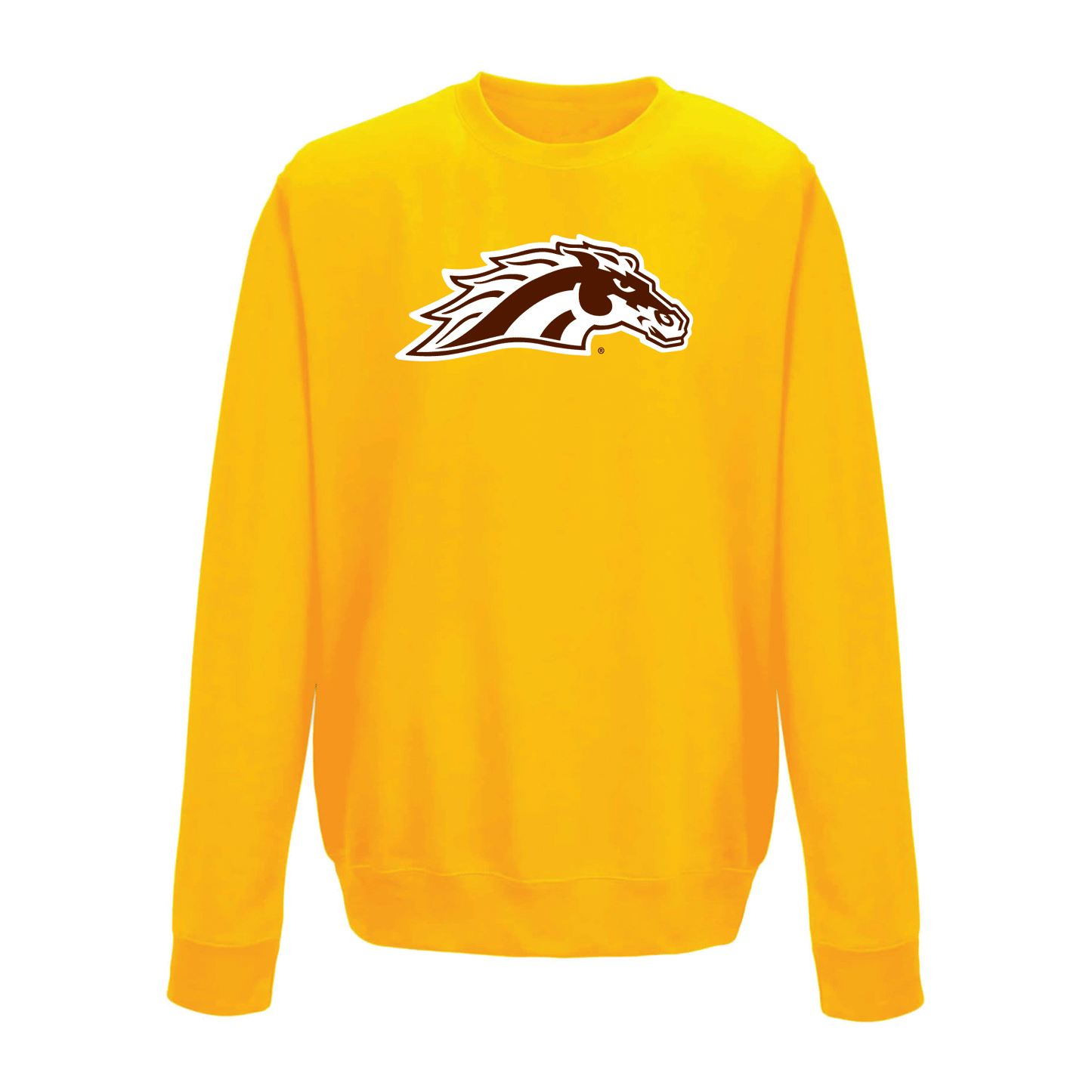 Western Michigan University Broncos Large Logo