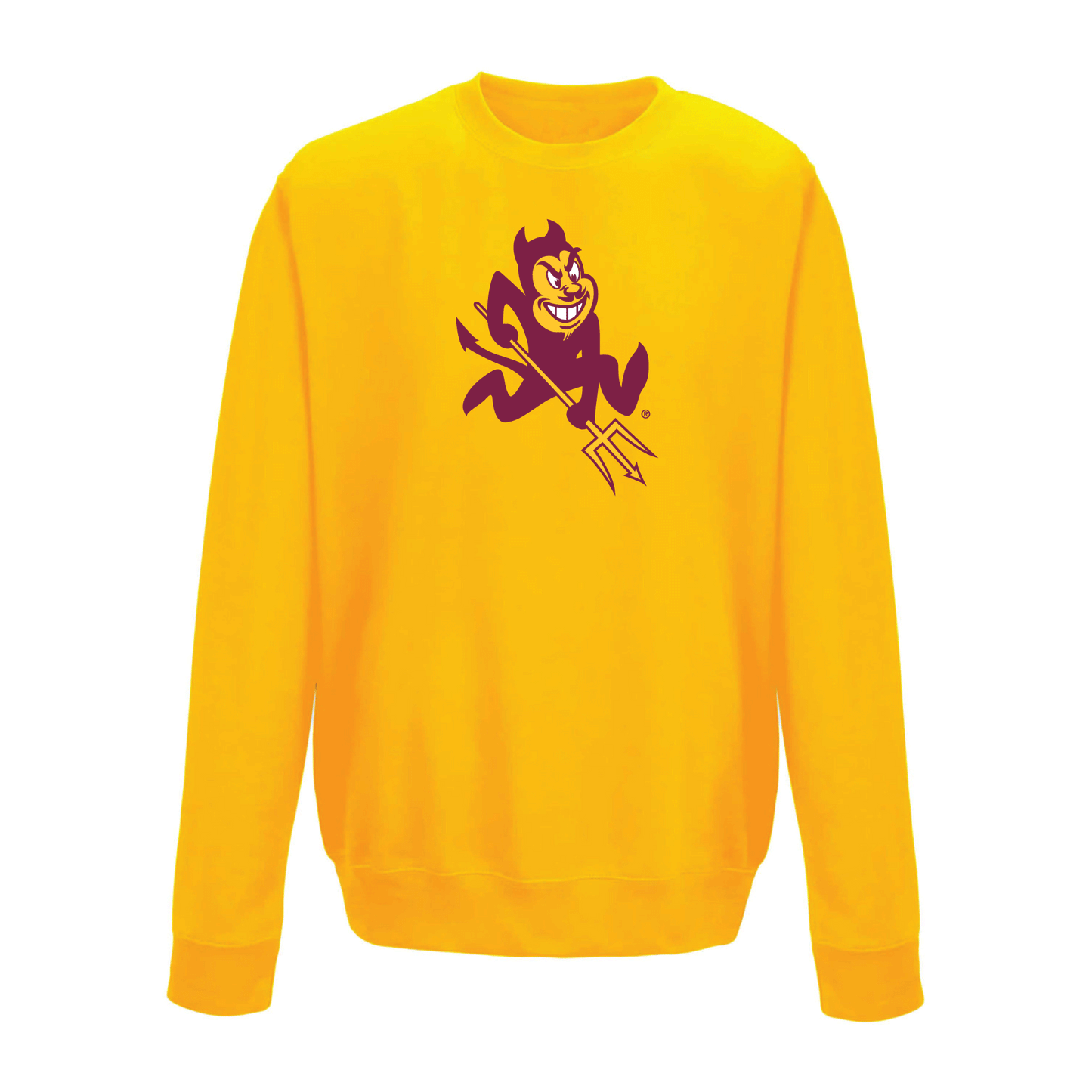 Arizona State University Sun Devils Large Logo