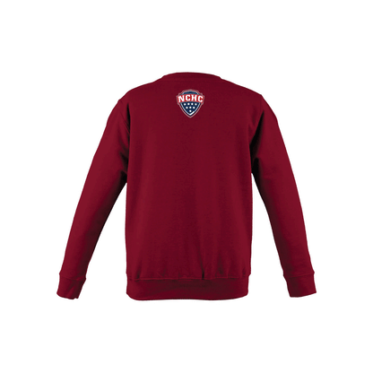 University of Minnesota Duluth Bulldogs Large Logo