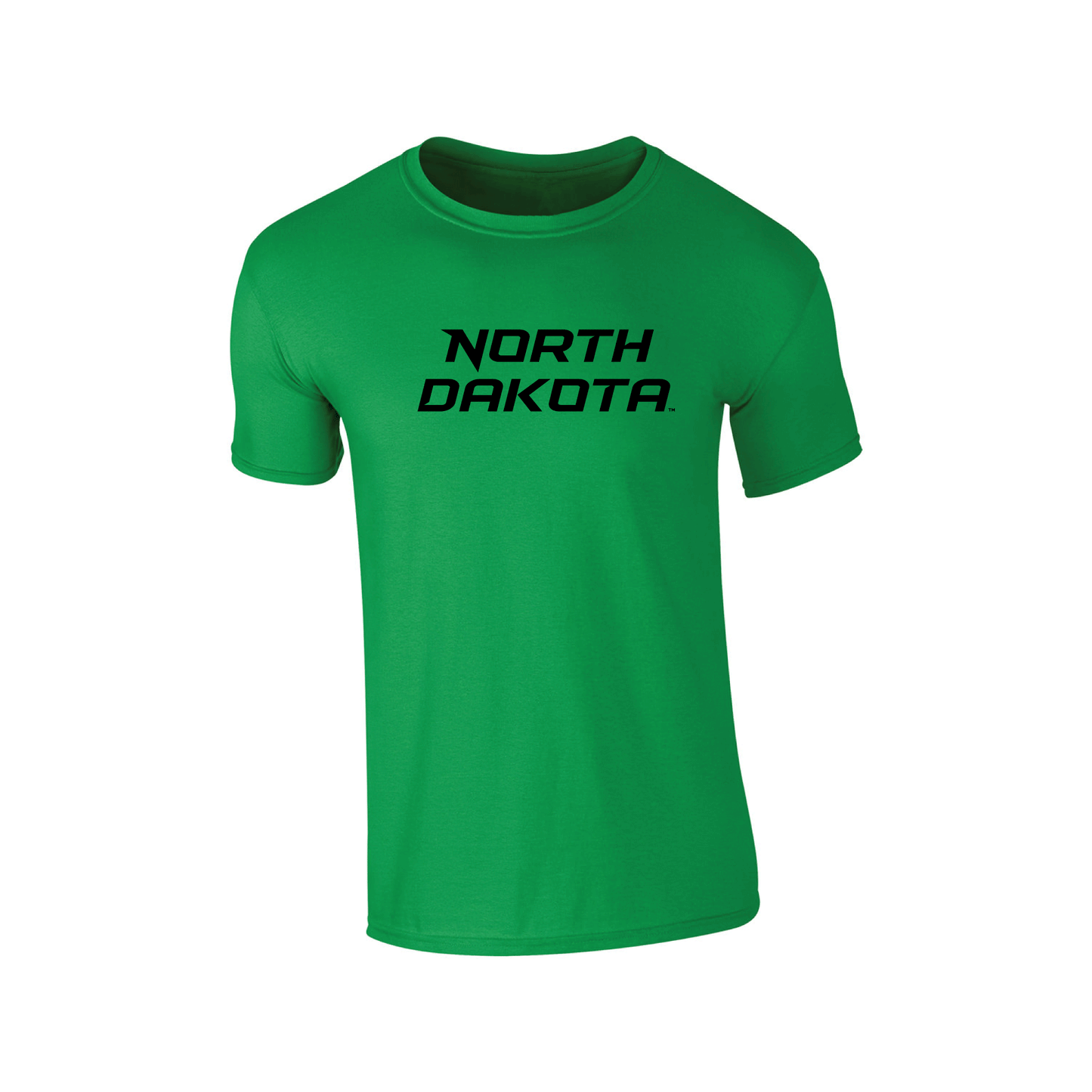 University of North Dakota Fighting Hawks Block