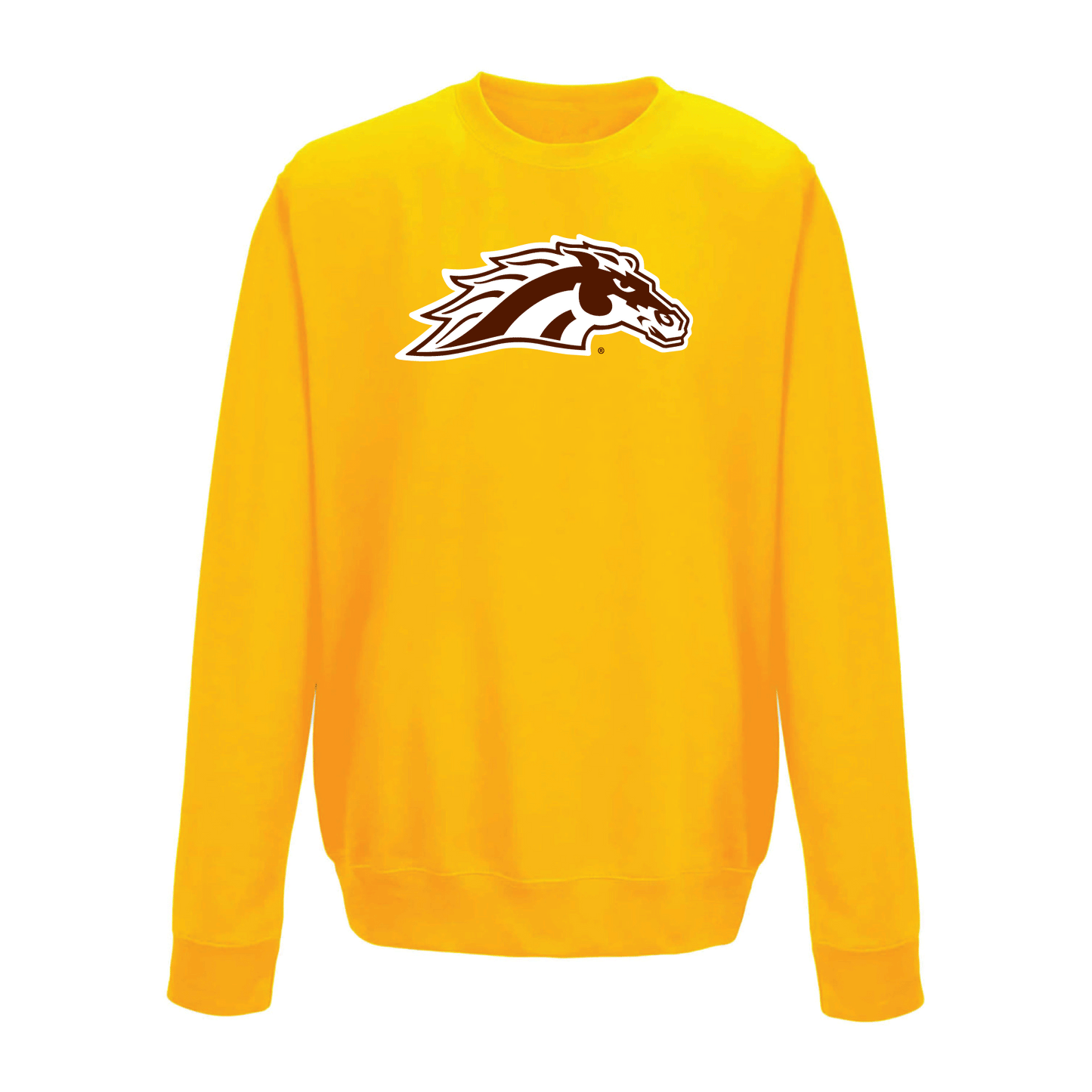 Western Michigan University Broncos Large Logo